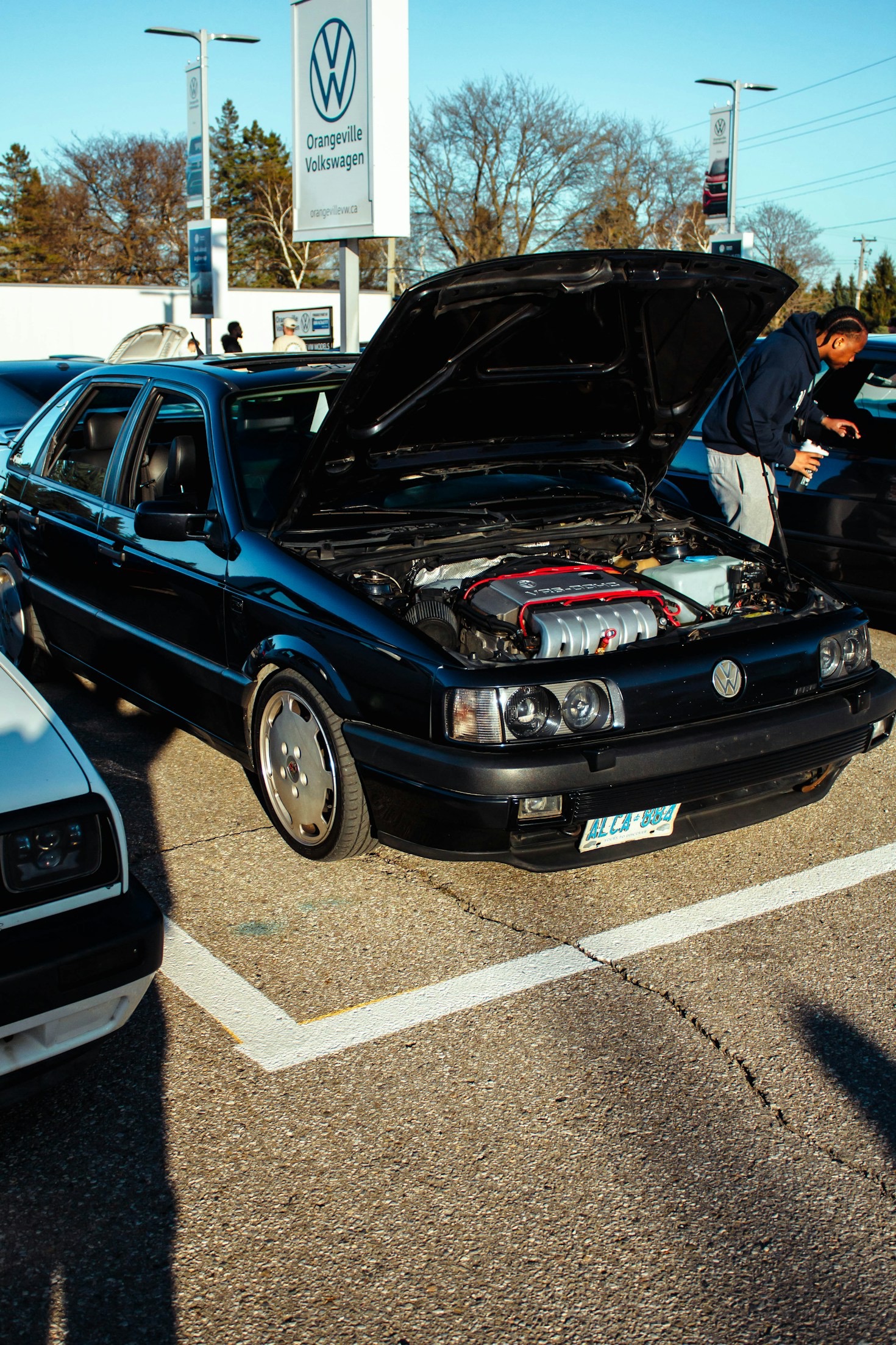 Top Trends in Custom Car Modifications
